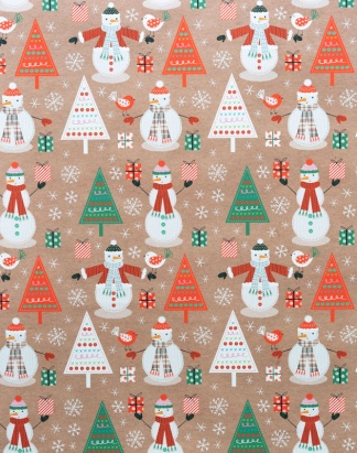 RX2029-Holiday-Kraft